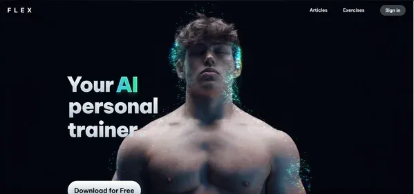 FLEXFITNESSAPP preview