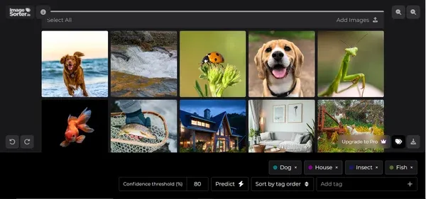 ImageSorter.io preview