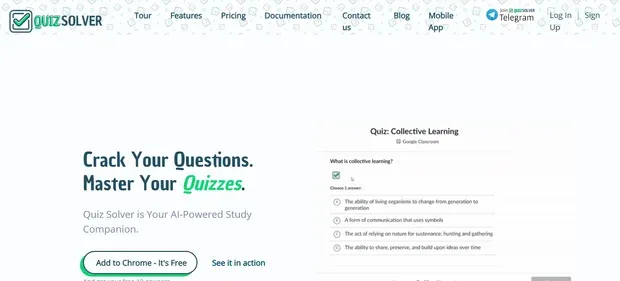 QUIZSOLVER preview