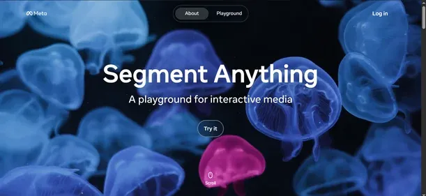 Segment-Anything preview