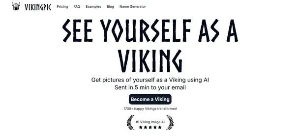 VIKINGPIC preview